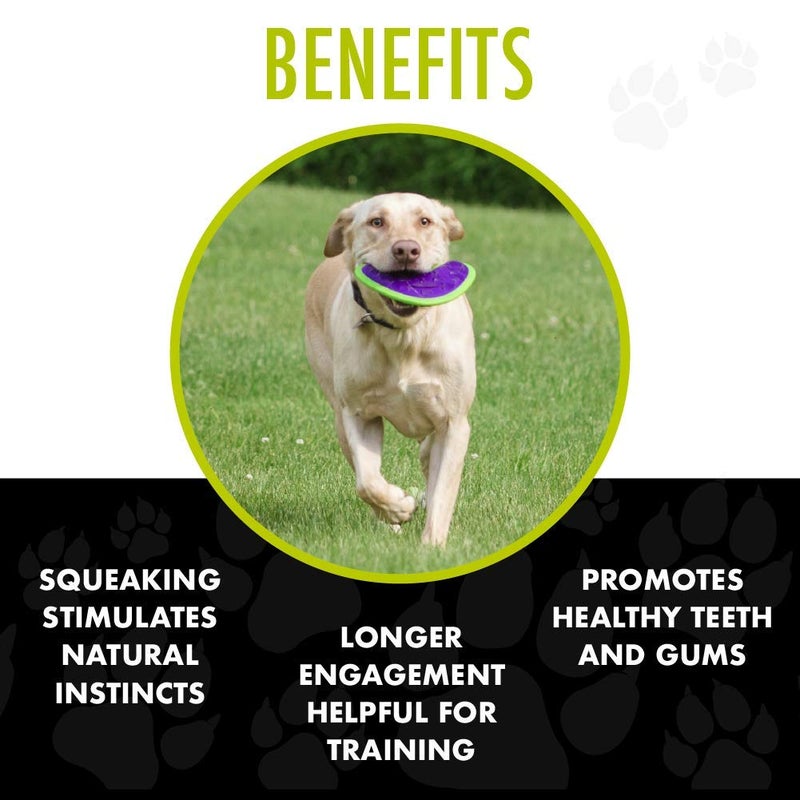 Hero Outer Armor, Fetch Dog Toy, Floats & Squeaks - Image 5